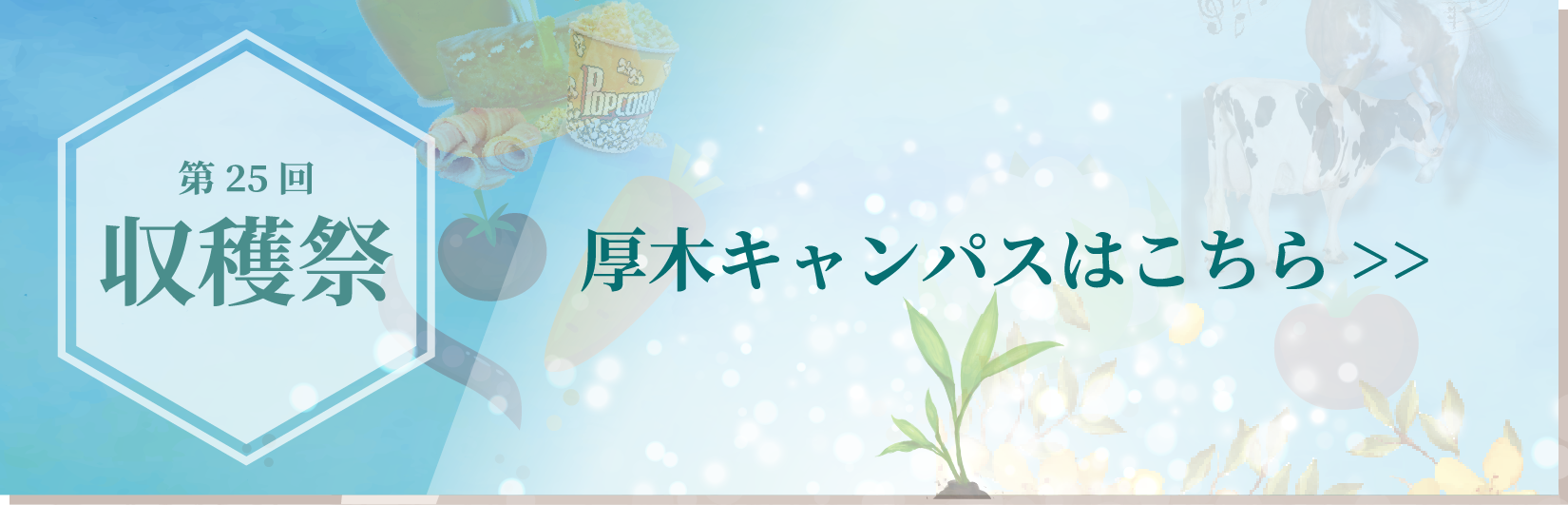 厚木キャンパスはこちら